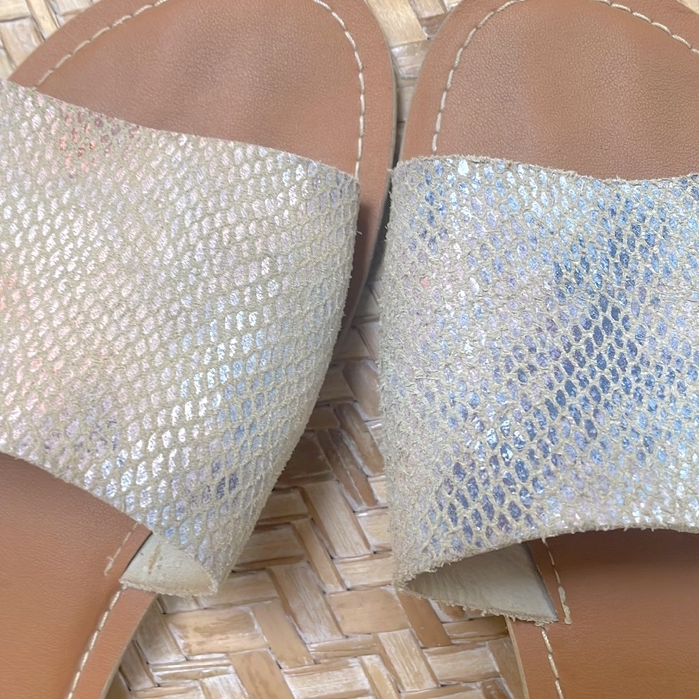 Beach by Matisse Slide 9! 👙🐠🌾